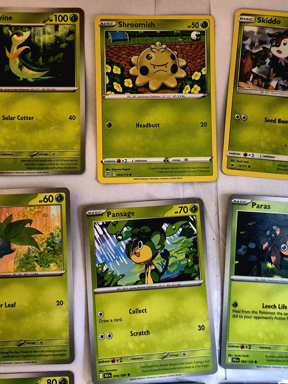 Pokémon Card Lot 100+ Grass Type Bundle Teal Mask Ogerpon ex Cyclizar
